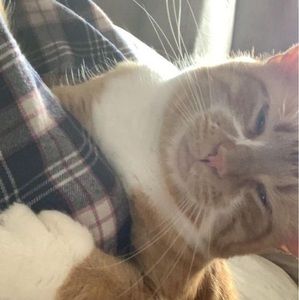 Meet your Posher, Isabelle